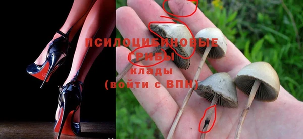 герыч Карпинск