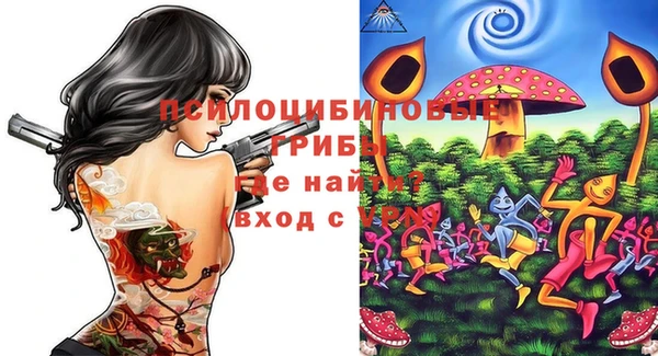 прущие грибы Карталы