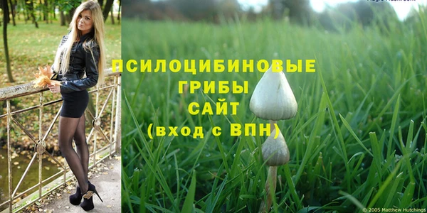 СК Касимов