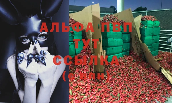 меф Каменск-Шахтинский